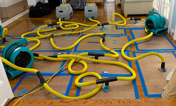 Professional Crawl Space Water Removal technician working in Augusta, OH